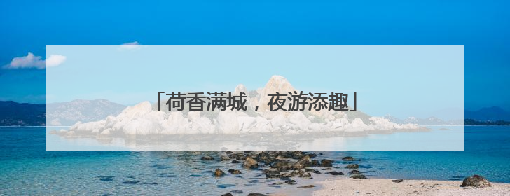 荷香满城，夜游添趣