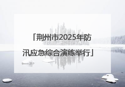 荆州市2025年防汛应急综合演练举行