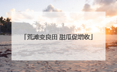 荒滩变良田 甜瓜促增收