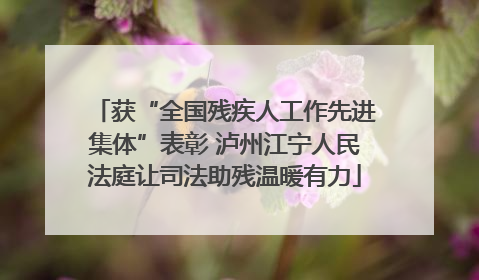 获“全国残疾人工作先进集体”表彰 泸州江宁人民法庭让司法助残温暖有力