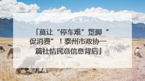 莫让“停车难”蹩脚“促消费”！泰州市政协一篇社情民意信息背后