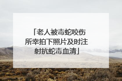 老人被毒蛇咬伤 所幸拍下照片及时注射抗蛇毒血清