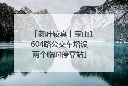 老叶较真丨宝山1604路公交车增设两个临时停靠站