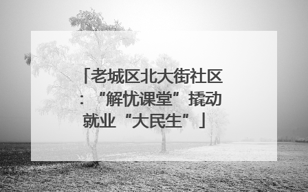 老城区北大街社区：“解忧课堂”撬动就业“大民生”