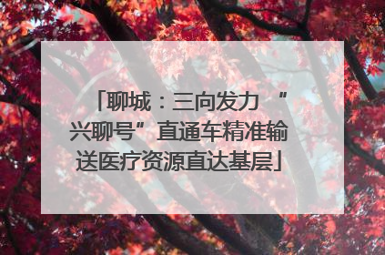 聊城：三向发力 “兴聊号”直通车精准输送医疗资源直达基层