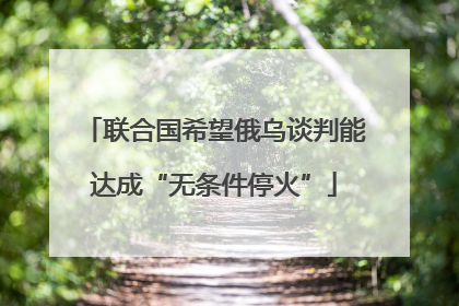 联合国希望俄乌谈判能达成“无条件停火”