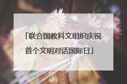 联合国教科文组织庆祝首个文明对话国际日
