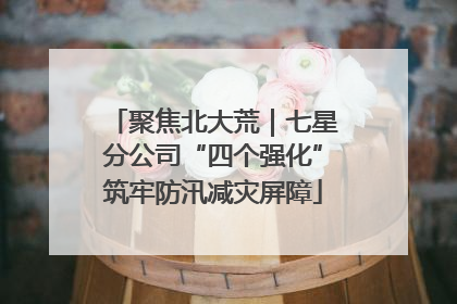 聚焦北大荒｜七星分公司“四个强化”筑牢防汛减灾屏障