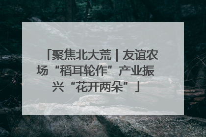 聚焦北大荒｜友谊农场“稻耳轮作”产业振兴“花开两朵”