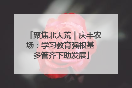 聚焦北大荒｜庆丰农场：学习教育强根基 多管齐下助发展