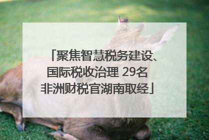 聚焦智慧税务建设、国际税收治理 29名非洲财税官湖南取经