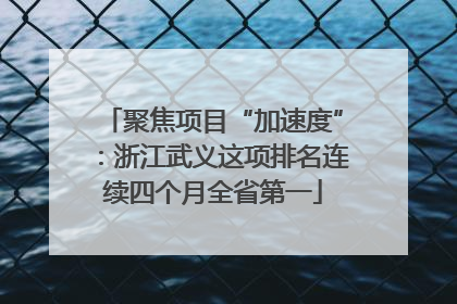 聚焦项目“加速度”：浙江武义这项排名连续四个月全省第一