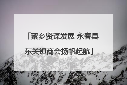 聚乡贤谋发展 永春县东关镇商会扬帆起航