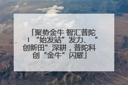 聚势金牛 智汇普陀〡“始发站”发力、“创新田”深耕，普陀科创“金牛”闪耀