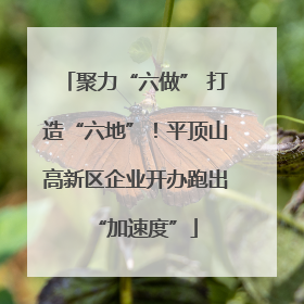 聚力“六做” 打造“六地”！平顶山高新区企业开办跑出“加速度”