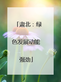 肃北：绿色发展动能强劲