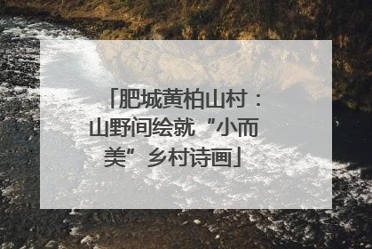 肥城黄柏山村：山野间绘就“小而美”乡村诗画