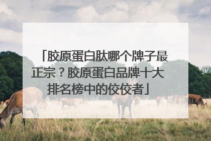 胶原蛋白肽哪个牌子最正宗？胶原蛋白品牌十大排名榜中的佼佼者