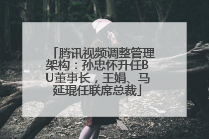 腾讯视频调整管理架构：孙忠怀升任BU董事长，王娟、马延琨任联席总裁