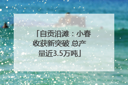 自贡沿滩：小春收获新突破 总产量近3.5万吨