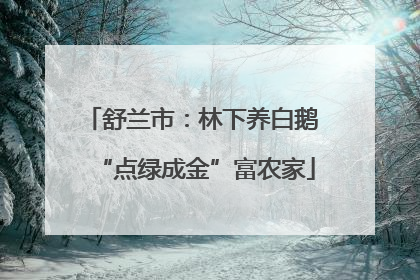 舒兰市：林下养白鹅 “点绿成金”富农家