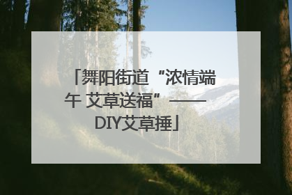 舞阳街道“浓情端午 艾草送福”——DIY艾草捶