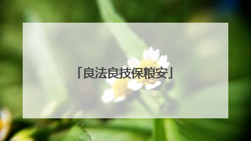 良法良技保粮安