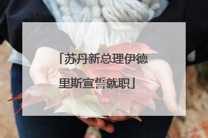 苏丹新总理伊德里斯宣誓就职