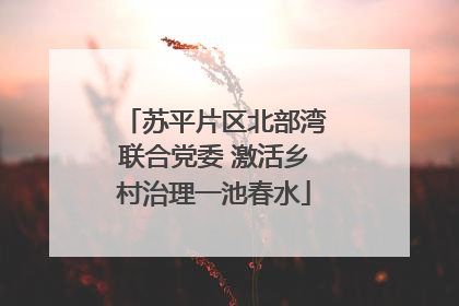 苏平片区北部湾联合党委 激活乡村治理一池春水