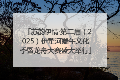 苏韵伊情·第二届（2025）伊犁河端午文化季暨龙舟大赛盛大举行