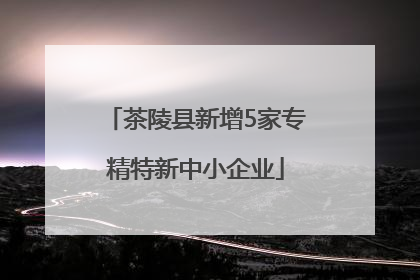 茶陵县新增5家专精特新中小企业