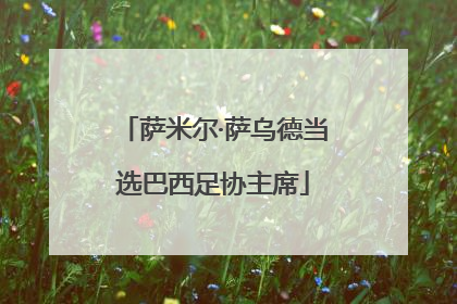 萨米尔·萨乌德当选巴西足协主席
