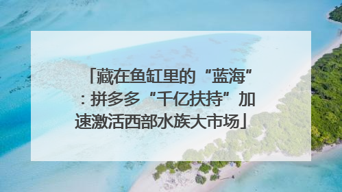藏在鱼缸里的“蓝海”：拼多多“千亿扶持”加速激活西部水族大市场