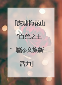 虎啸梅花山 “百兽之王”增添文旅新活力