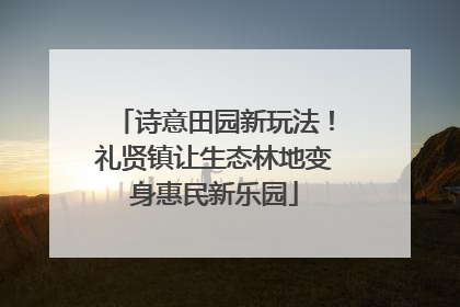 诗意田园新玩法！礼贤镇让生态林地变身惠民新乐园