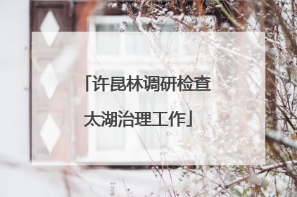 许昆林调研检查太湖治理工作