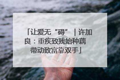 让爱无“碍”｜许加良：重疾致残始种藕 带动致富靠双手