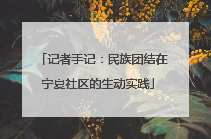 记者手记：民族团结在宁夏社区的生动实践