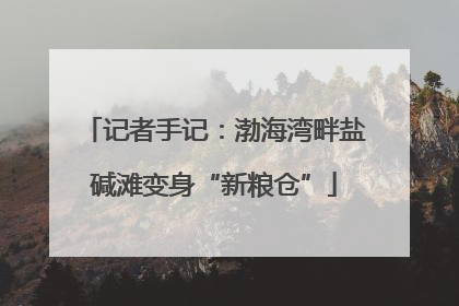 记者手记：渤海湾畔盐碱滩变身“新粮仓”