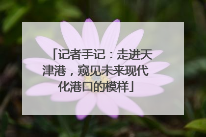 记者手记：走进天津港，窥见未来现代化港口的模样