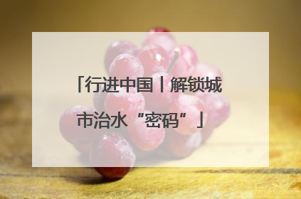 行进中国丨解锁城市治水“密码”