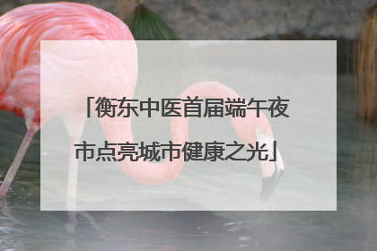 衡东中医首届端午夜市点亮城市健康之光