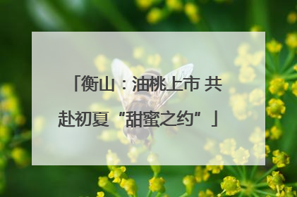 衡山：油桃上市 共赴初夏“甜蜜之约”