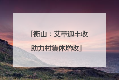 衡山：艾草迎丰收 助力村集体增收