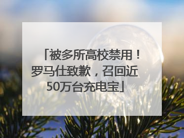 被多所高校禁用！罗马仕致歉，召回近50万台充电宝