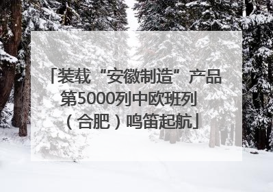 装载“安徽制造”产品 第5000列中欧班列（合肥）鸣笛起航