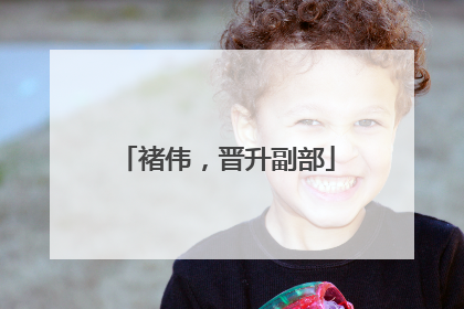 褚伟，晋升副部