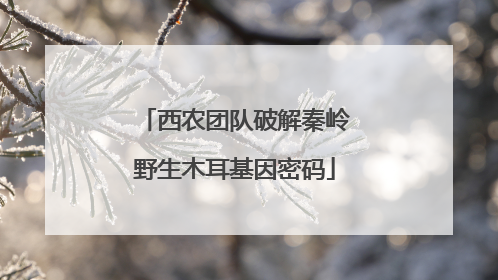 西农团队破解秦岭野生木耳基因密码