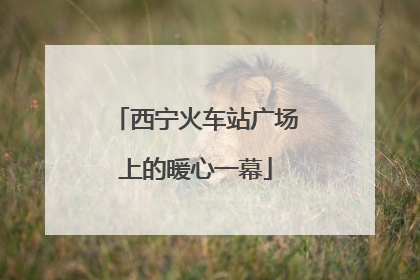 西宁火车站广场上的暖心一幕