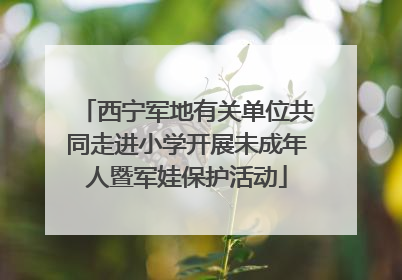 西宁军地有关单位共同走进小学开展未成年人暨军娃保护活动
